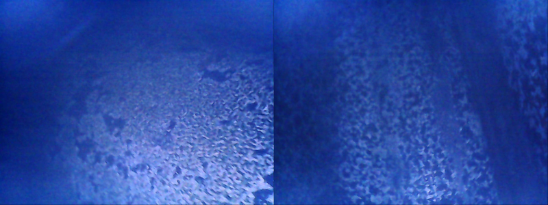 Scope view- LEFT: top of the inner hump. RIGHT: bottom of the tank.